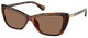 Shiny Dark Havana / Brown
