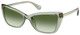 Shiny Light Green / Green Gradient