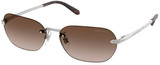 Ralph Lauren Sunglasses RL7089 900113