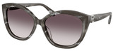 Ralph Lauren Sunglasses RL8225U 617511