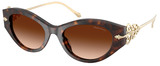 Ralph Lauren Sunglasses RL8227U 500374