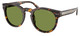 Dark Havana / Solid Green
