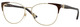 Sh Pale Gold / Paper Havana / Clear