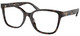 Dark Tortoise / Clear