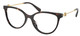 Brown Tortoise / Clear