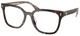 Dark Tortoise / Clear
