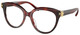 Gradient Tortoise / Clear