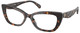 Dark Tortoise / Clear