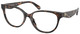 Honey Tortoise / Clear
