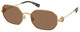 Shiny Gold / Dark Brown