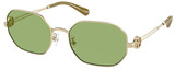 Tory Burch Sunglasses TY6113 3349/2