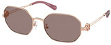 Tory Burch Sunglasses TY6113 33587N