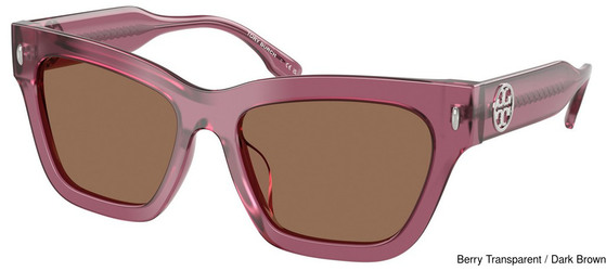 Tory Burch Sunglasses TY7208U 317973