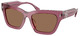 Berry Transparent / Dark Brown