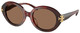 Gradient Tortoise / Dark Brown