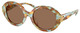 Blue Honey Tortoise / Dark Brown