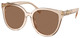 Transparent Brown / Dark Brown