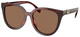 Gradient Tortoise / Dark Brown