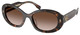 Brown Tortoise / Brown Grad