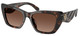 Dark Tortoise / Brown Polar