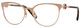 Pink Gold / Clear
