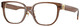 Transparent Dark Brown / Clear