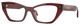 Transparent Bordeaux / Clear