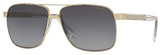 Versace Sunglasses VE2174 1252T3