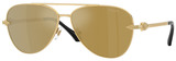 Versace Sunglasses VE2283 10027I