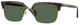 Dark Havana / Dark Green