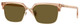 Transparent Brown / Dark Brown