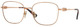 Rose Gold / Clear