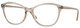 Transparent Caramel / Clear