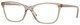 Transparent Caramel / Clear