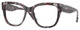 Grey Tortoise / Clear