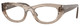 Transparent Light Brown / Clear