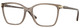Transparent Brown / Clear