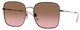 Light Violet / Pink Gradient Brown