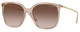 Transparent Brown / Brown Gradient