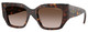 Dark Havana / Gradient Brown
