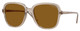 Transparent Caramel / Dk Brown Polar
