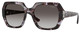 Purple Havana / Grad Dark Grey