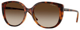 Vogue Sunglasses VO5623S W65613