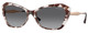 Grey Havana / Grad Grey Polar