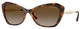 Dk Havana / Grey Grad Brown Polar