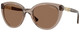 Transparent Brown / Dark Brown