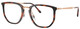 Striped Havana / Clear