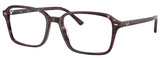 Ray-Ban Eyeglasses RX5431F 8393