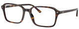 Ray-Ban Eyeglasses RX5431 2012