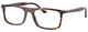 Havana Red Turtle / Clear